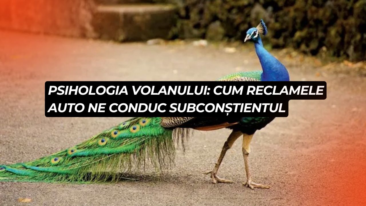 Psihologia volanului: cum reclamele auto ne conduc subconștientul